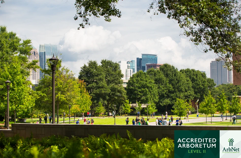A park filled with people and trees is set against a backdrop of city skyscrapers, with a sign indicating it's an accredited arboretum.