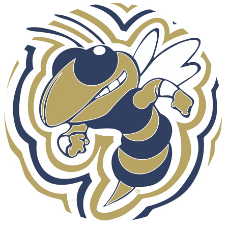 An illustrated, aggressive-looking hornet in navy blue and gold is shown against a circular background with wavy patterns.